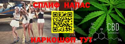 ECSTASY Камышлов