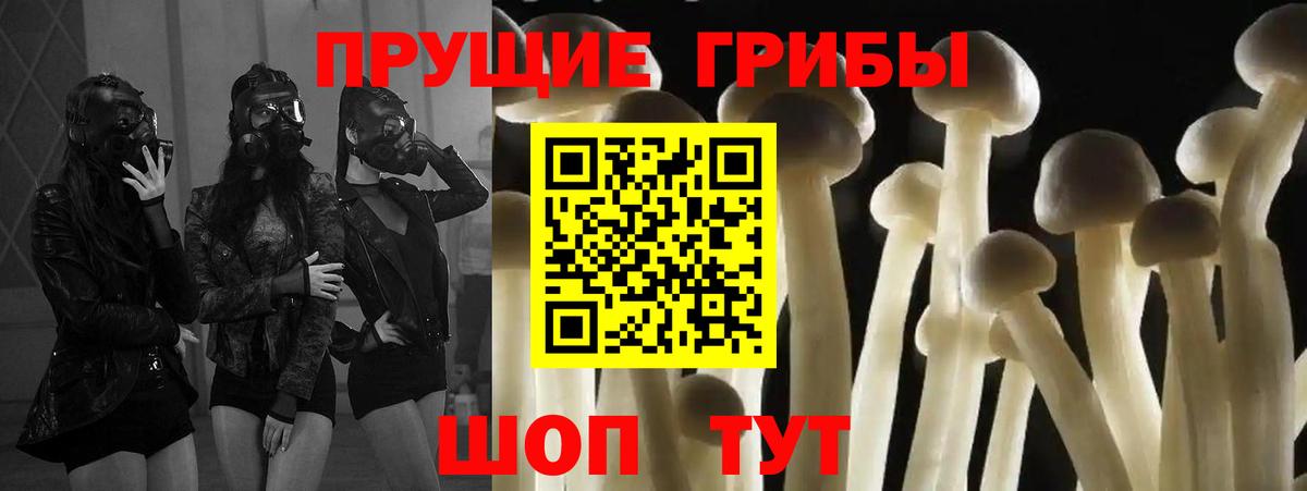Владивосток  Галлюциногенные грибы ЛСД  Галлюциногенные грибы GOLDEN TEACHER  Вход с VPN 